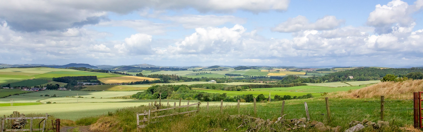 View from Ladeddie Hill on the Fife Pilgrim Way