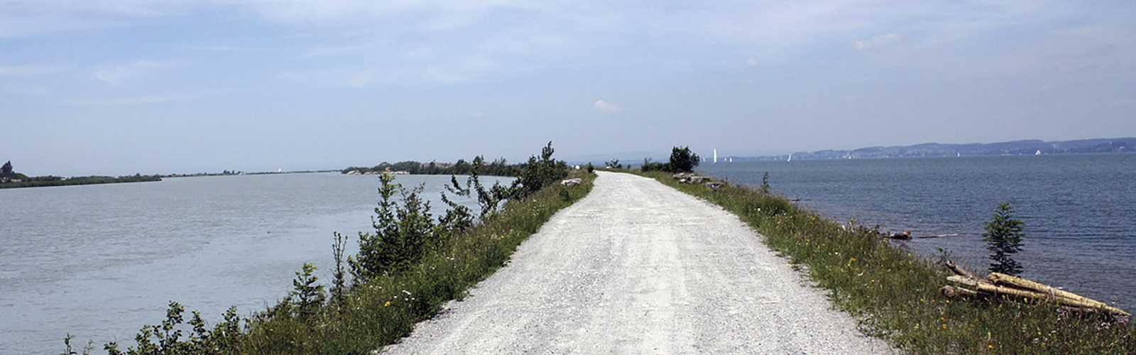 Article Header Image