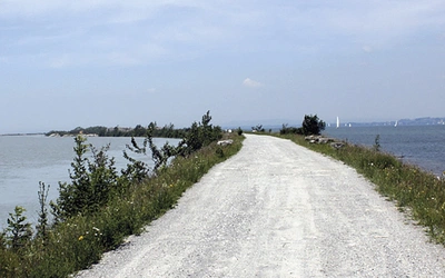 Article Header Image