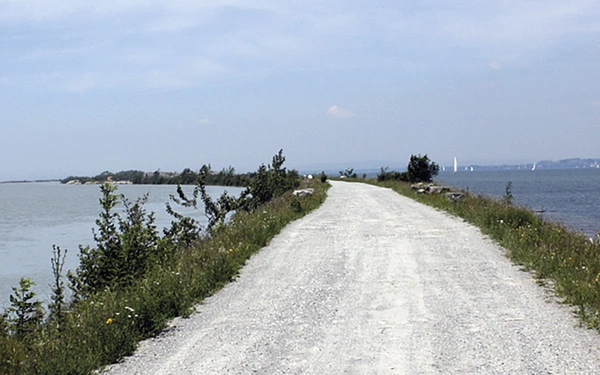 Article Header Image