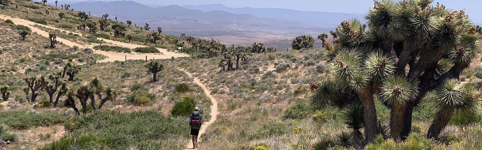 Article Header Image2