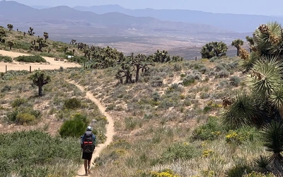 Article Header Image2