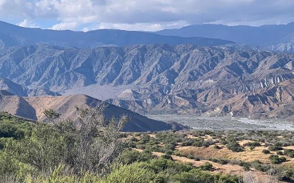 Article Header Image