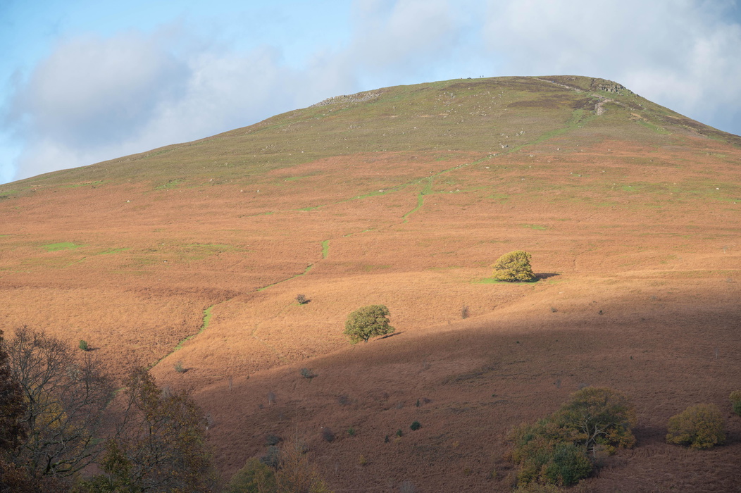 The distinctive conical peak of the Sugar Loaf