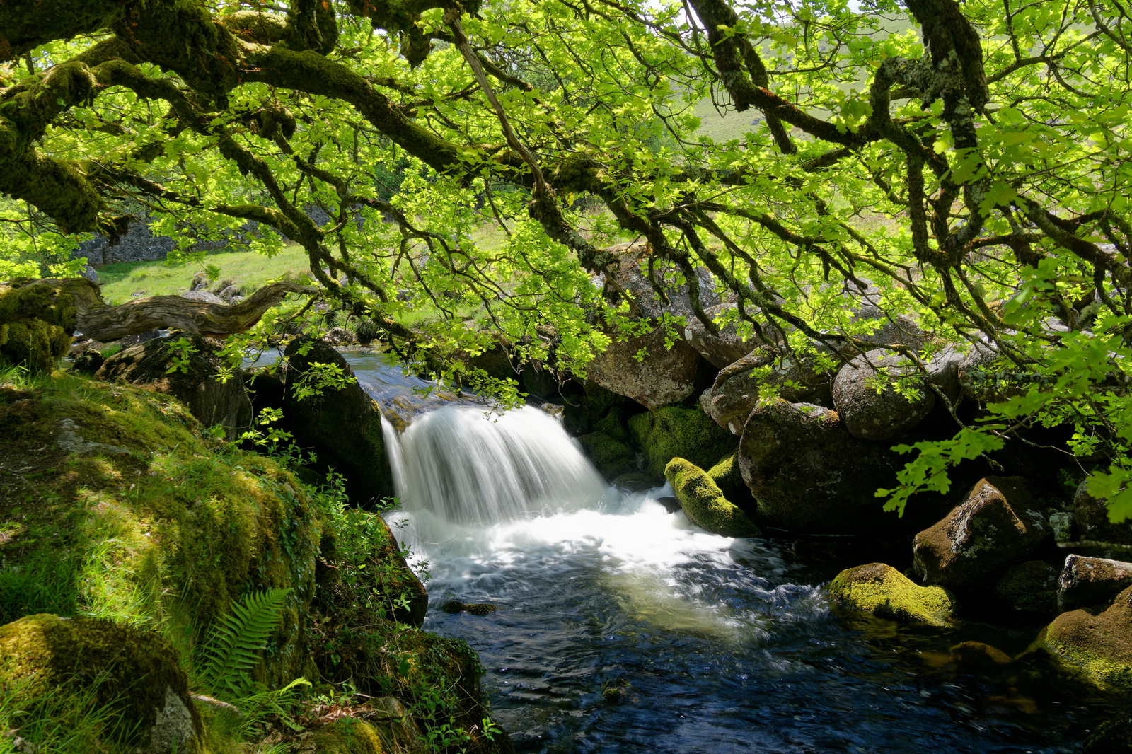 The West Okement River in Dartmoor
