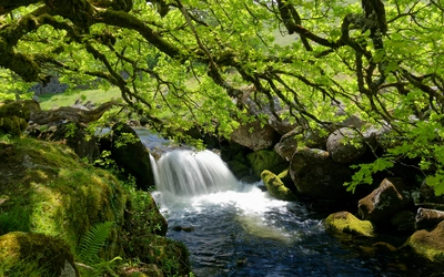 The West Okement River in Dartmoor