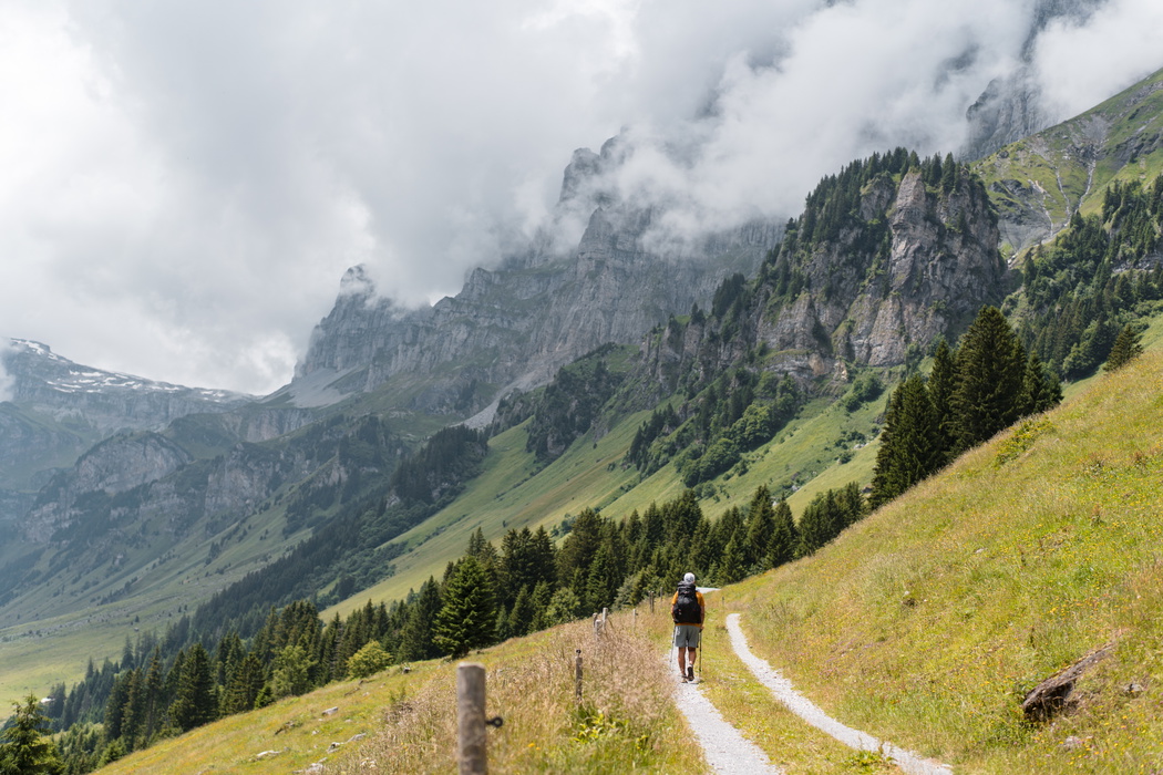 Trekking the Via Alpina 1