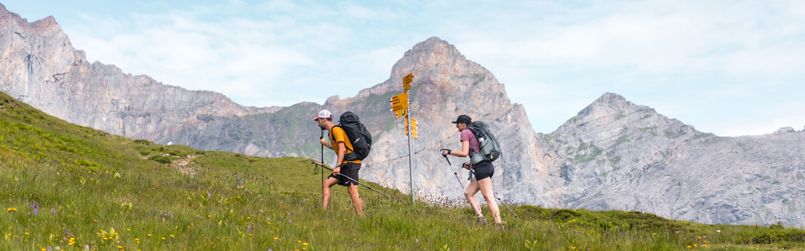 The Swiss Via Alpina is a fantastic long-distance hike