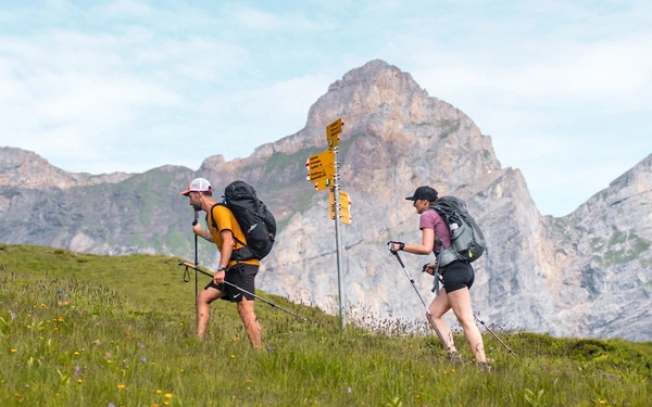 The Swiss Via Alpina is a fantastic long-distance hike