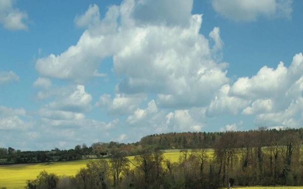 From Nuffield the Ridgeway heads across open fields (photo: Steve Davison)