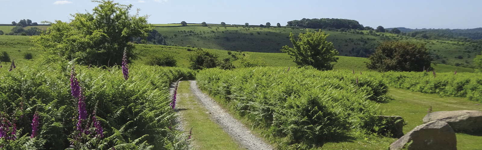 The Dartmoor Way goes around the edge of Dartmoor National Park