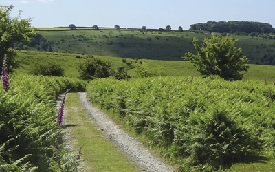The Dartmoor Way goes around the edge of Dartmoor National Park