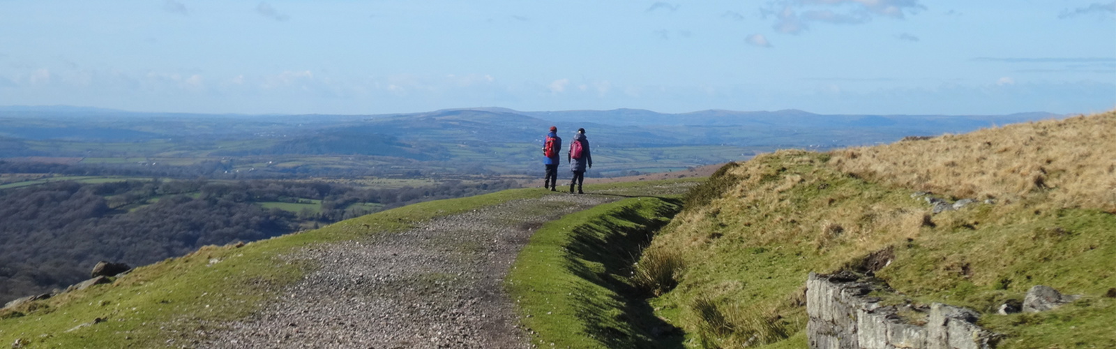 Dartmoor Way