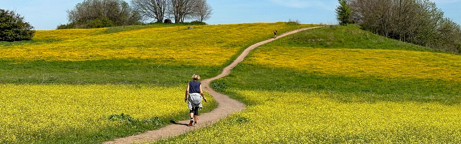 The Via Francigena in the south goes from Rome to the heel of Italy