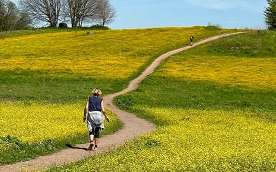 The Via Francigena in the south goes from Rome to the heel of Italy