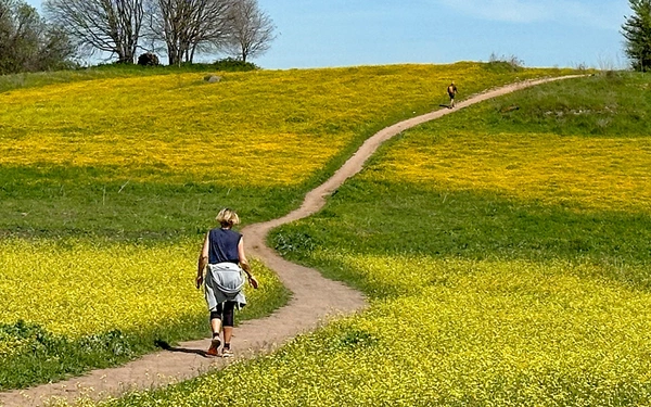 The Via Francigena in the south goes from Rome to the heel of Italy