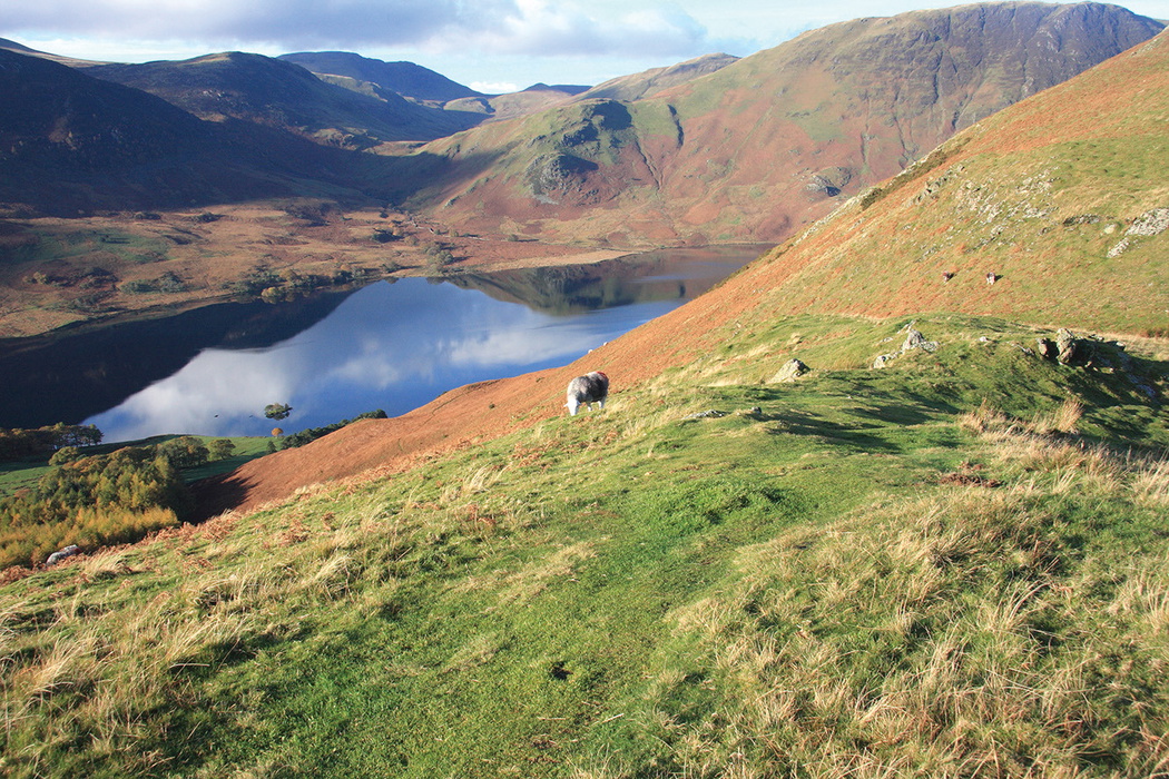 Crummock water