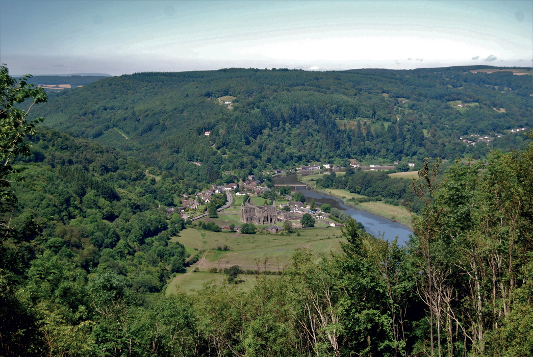 Tintern Abbey