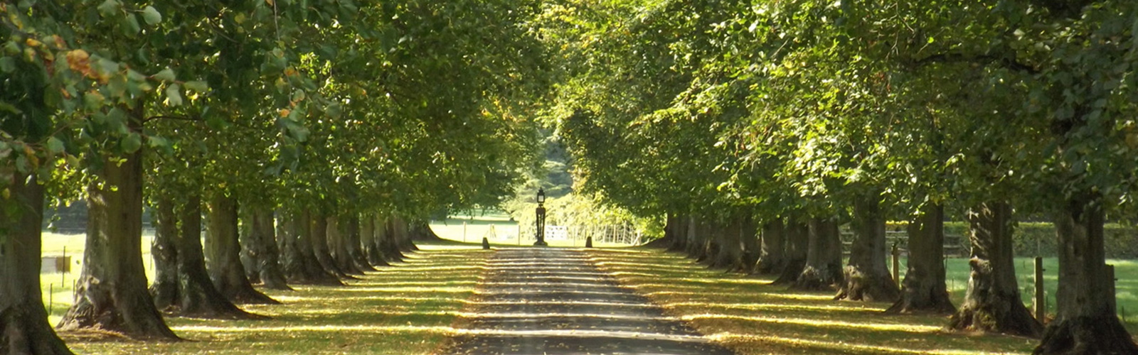 Article Header Image