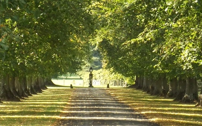 Article Header Image