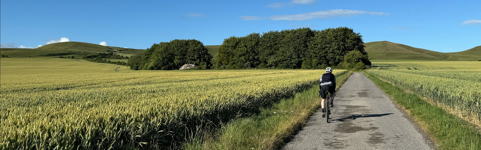 Bikepacking King Alfred's Way through Southern England