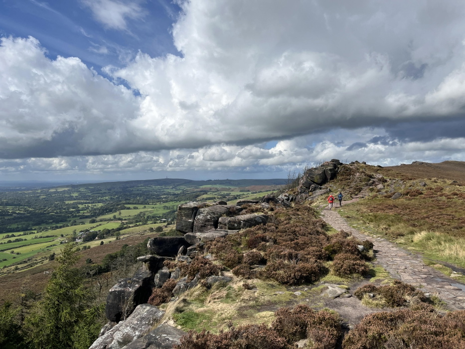 The Roaches