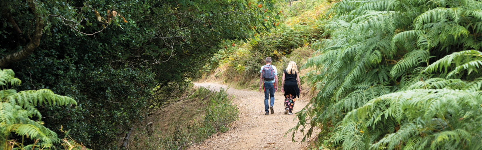 Malvern Hills