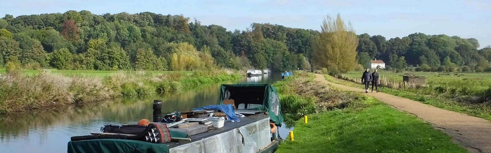 Tranquil walking at King's Meads on the Lea Valley Walk