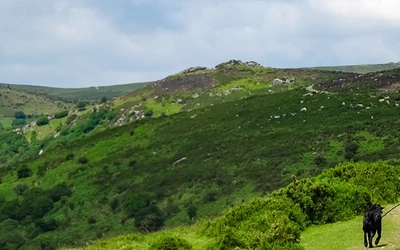 On Dr Blackall’s Drive, heading towards Mel Tor on the Two Moors Way