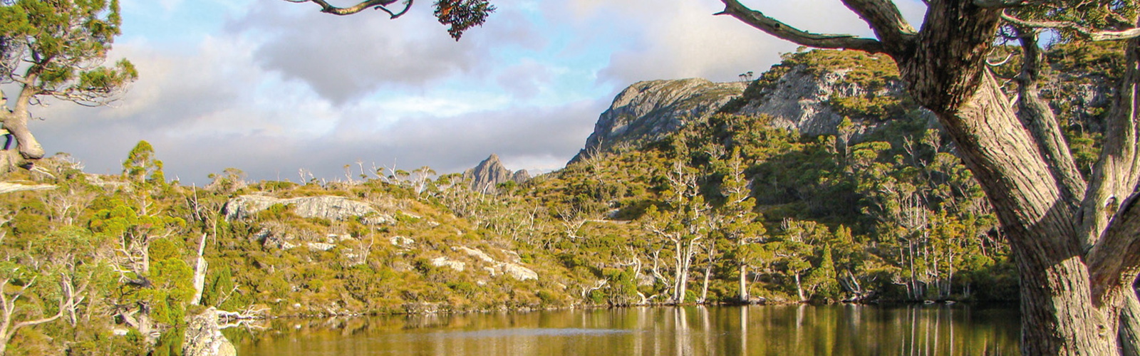 The Wombat Pool at the start of Tasmania's Overland Track