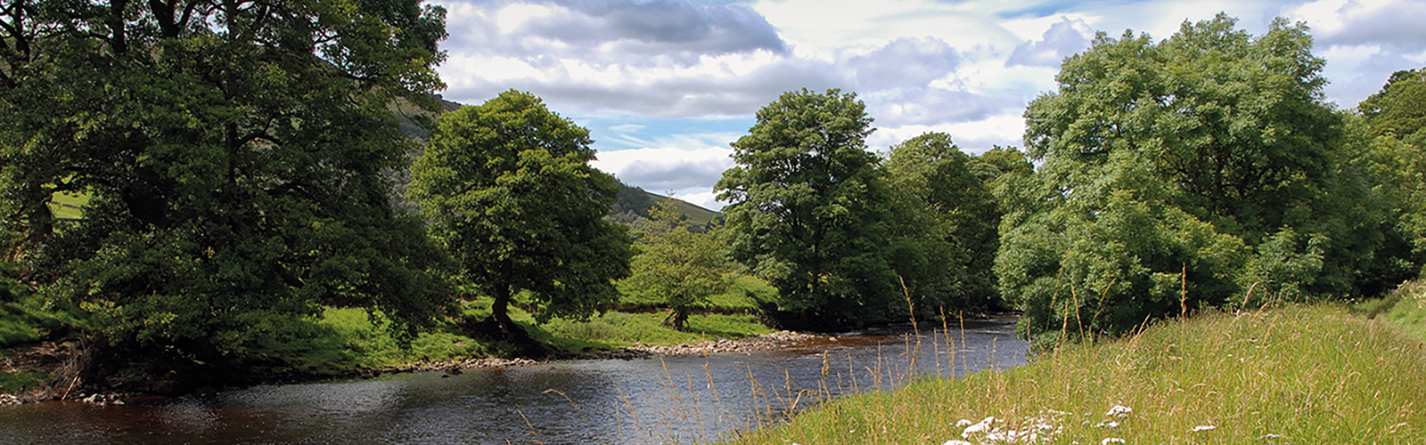 Beside the Wharfe between Burnsall and Grassington, The Dales Way