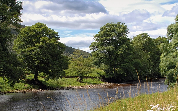Beside the Wharfe between Burnsall and Grassington, The Dales Way