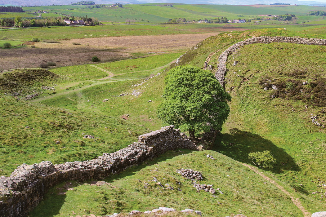 Sycamore Gap
