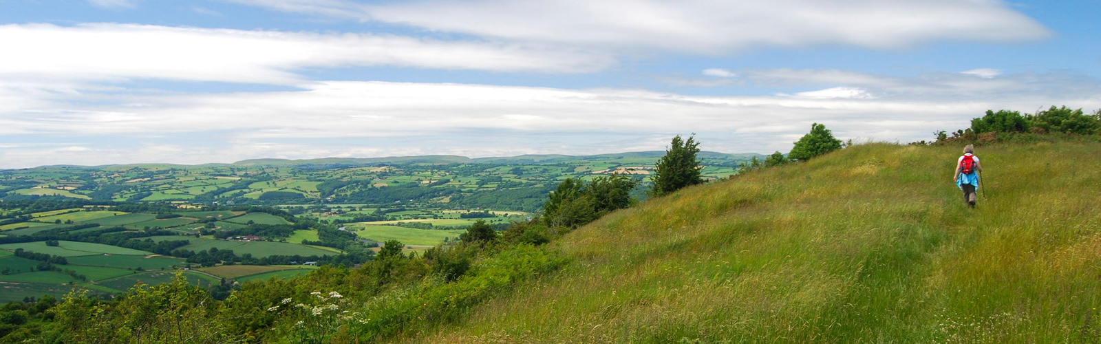 The summit slopes of Merbach Hill, Wye Valley