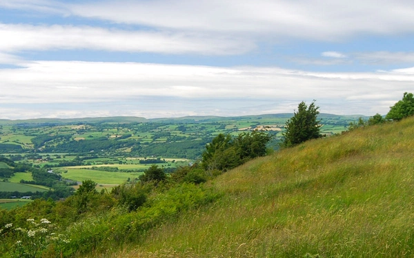 The summit slopes of Merbach Hill, Wye Valley