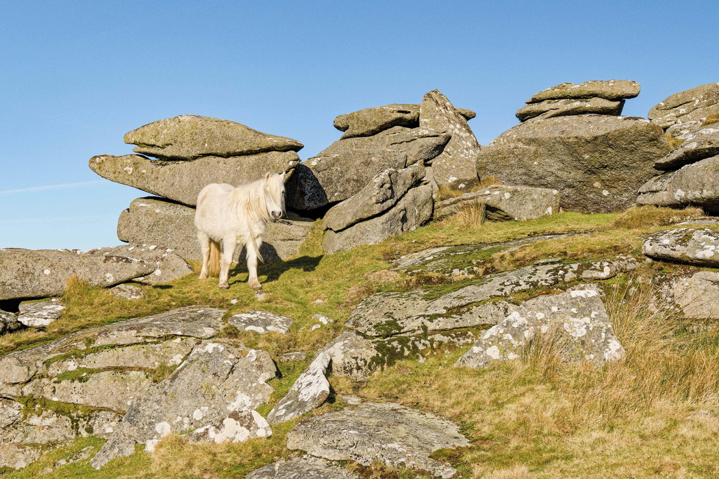 Littaford Tors