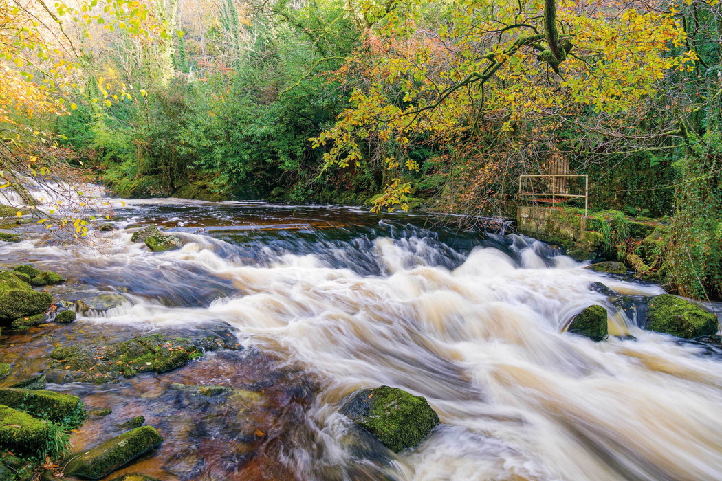 River Erme