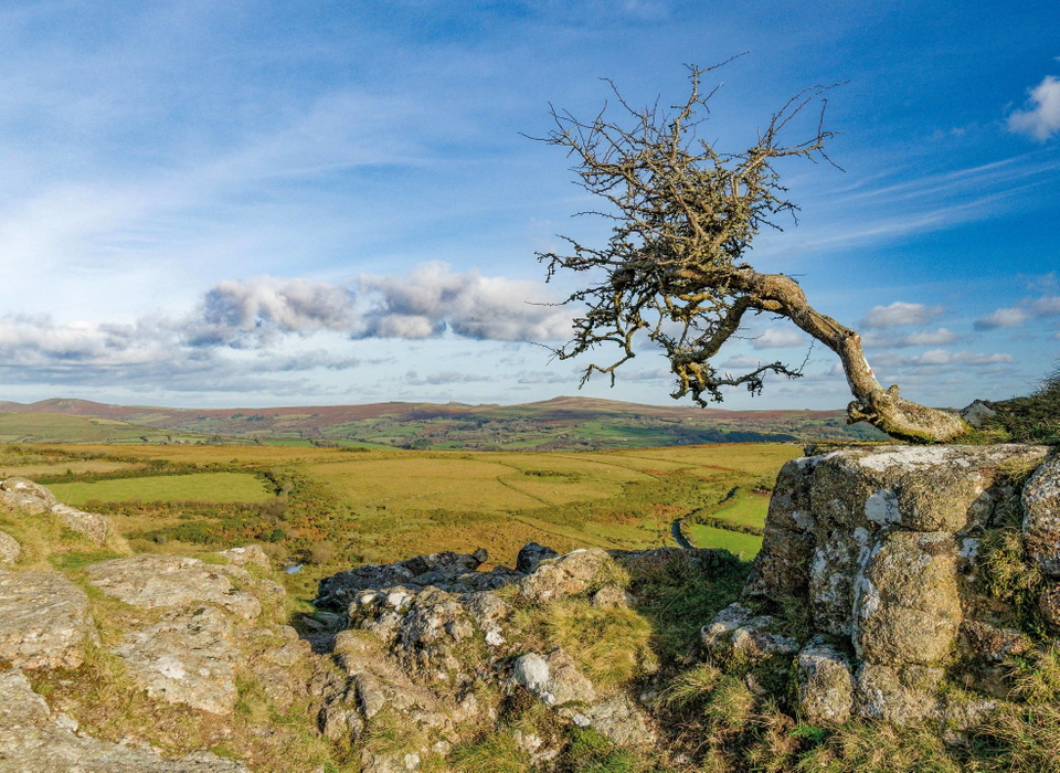 Sharp Tor