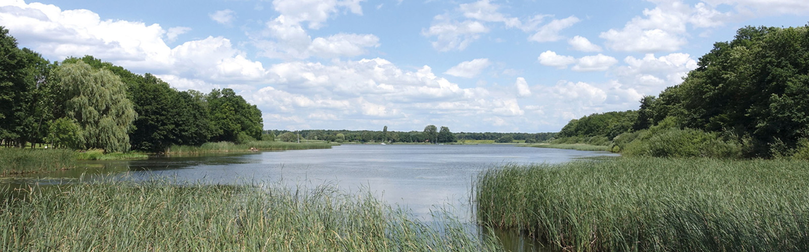 Etang du Stock, Lorraine, GR5