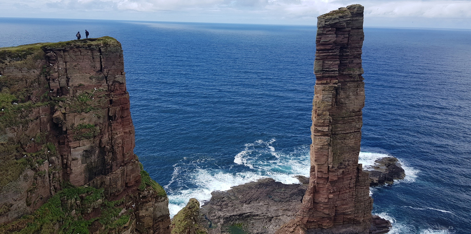 Where seabirds land: walking on Orkney