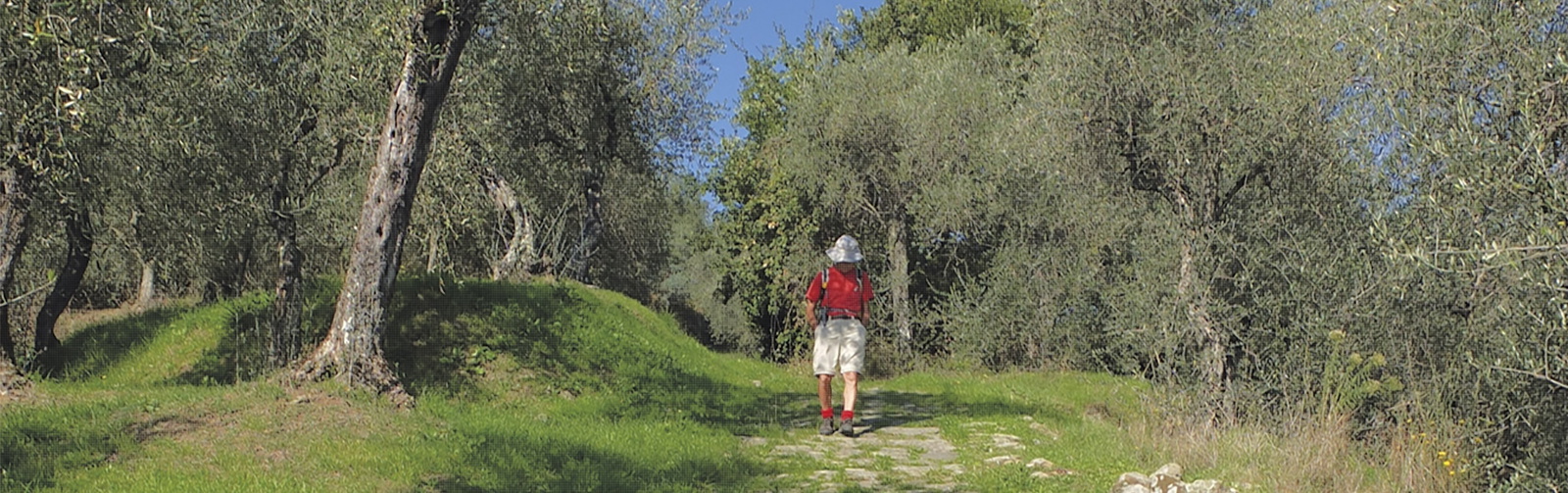 The old paved way down to Pescia Walk 4