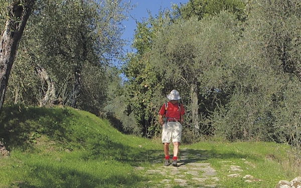 The old paved way down to Pescia Walk 4