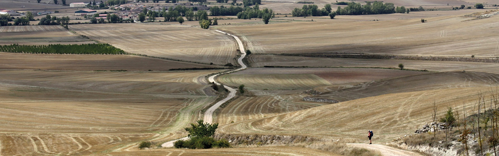 The Camino crosses the meseta