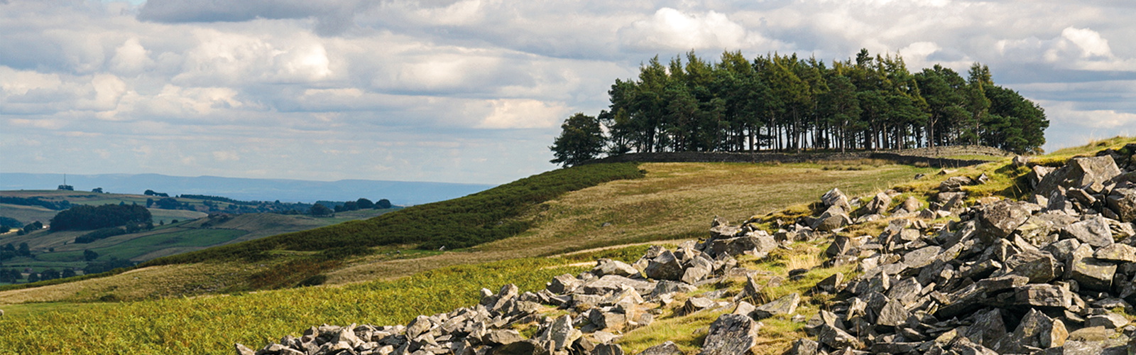 County Durham