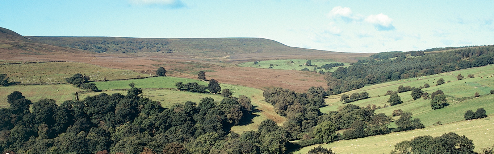 North York Moors