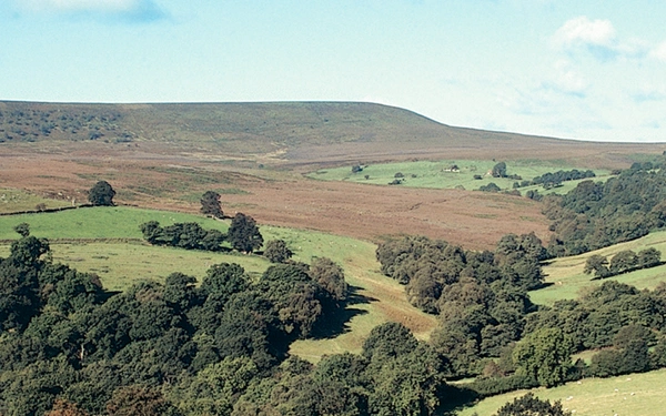 North York Moors