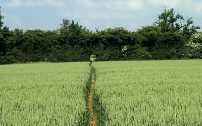 Chiltern Hills