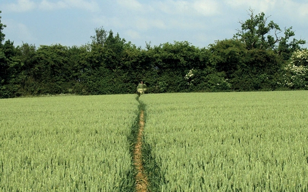 Chiltern Hills