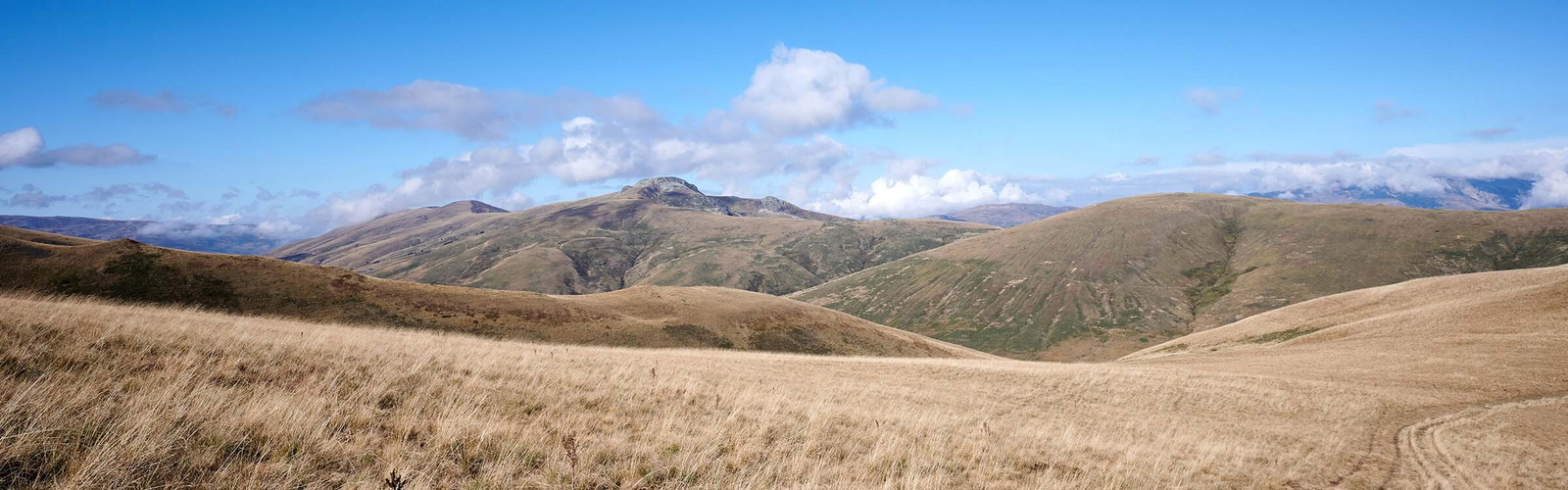 Hiking the High Scardus Trail