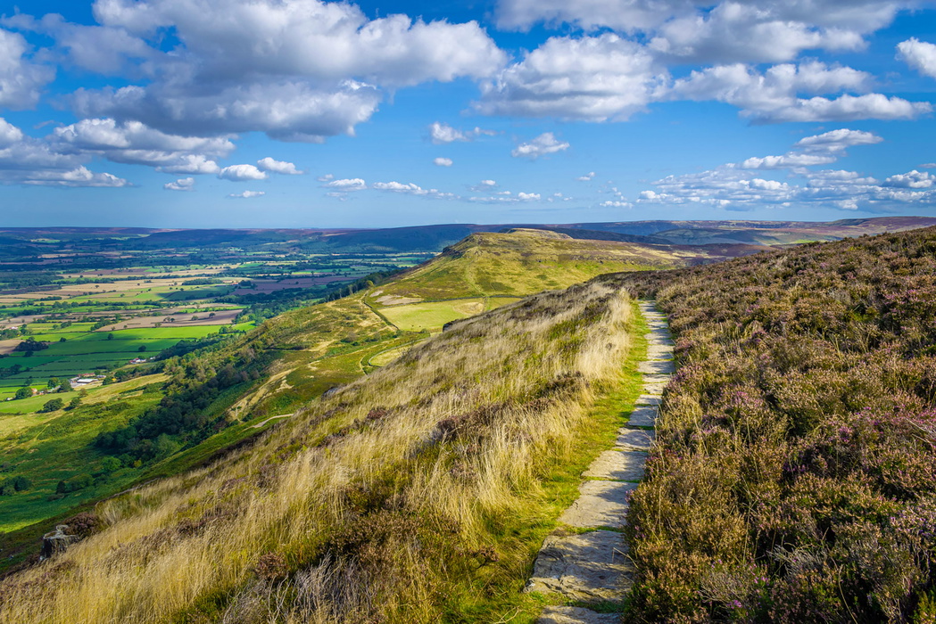 Cold Moor viewed from Cringle Moor (photo: Bernie McLinden)